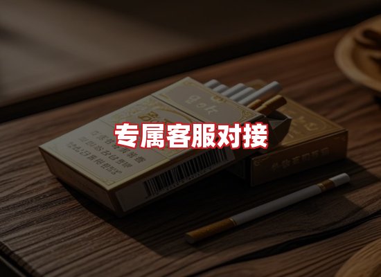 专业团队